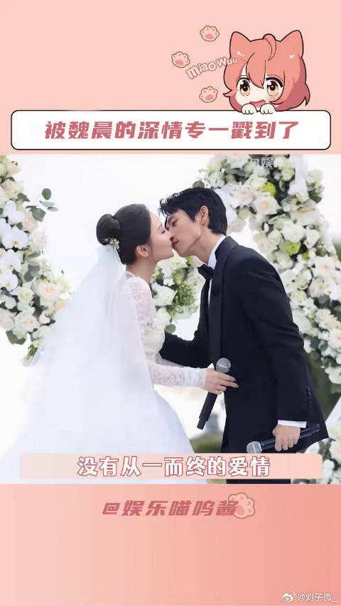 魏晨 回忆杀 微博VC计划