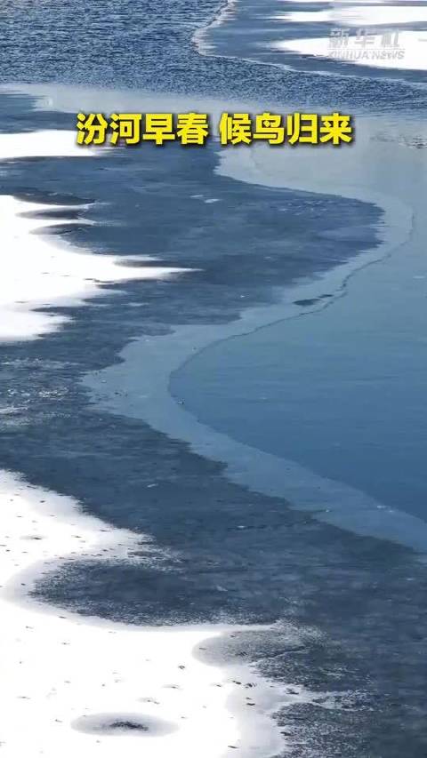 汾河太原段候鸟翩跹绘春光，王一博歌声伴自然之美