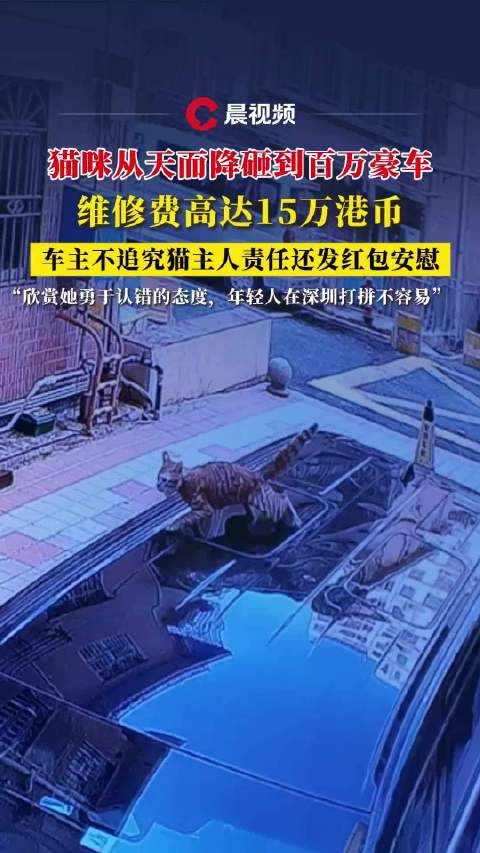 猫咪坠楼砸坏百万豪车，车主免赔15万港币还赠红包