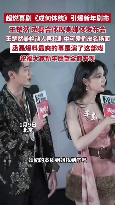 丞磊说演成何体统最爽了