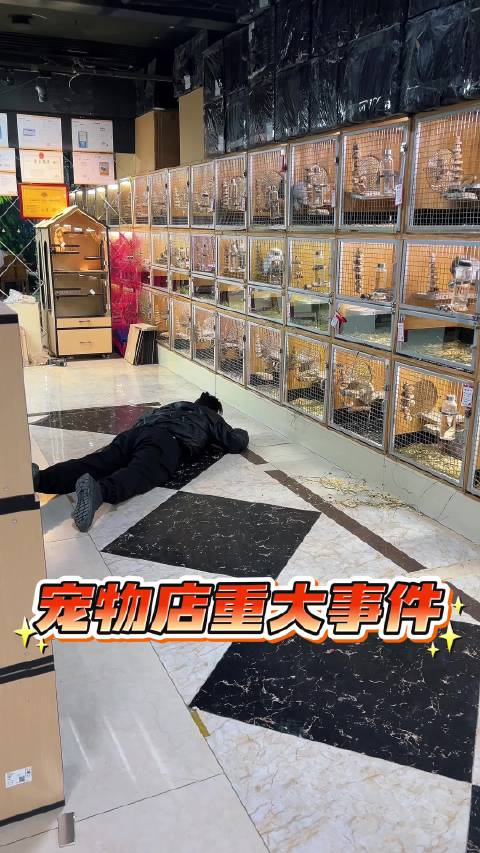 大家觉得我和龙猫像不像？