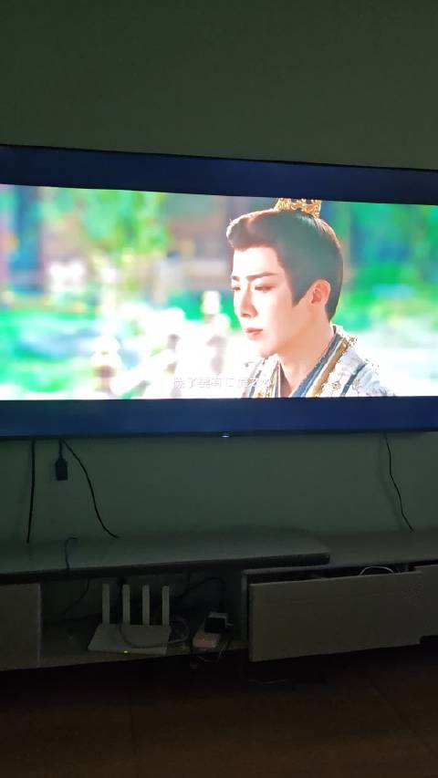 书卷一梦，狗都爱看