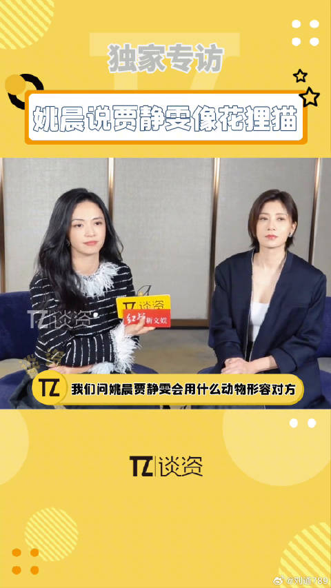 姚晨说贾静雯像花狸猫，看上去温顺，实际确是？姚晨 以美之名