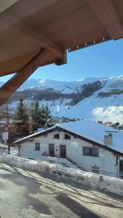 樊振东现身冬奥记者Vlog为苏翊鸣低调加油