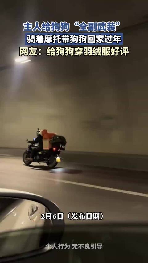 主人给狗狗全副武装，骑着摩托带狗狗回家过年，网友：给狗狗穿羽绒服好评 ！