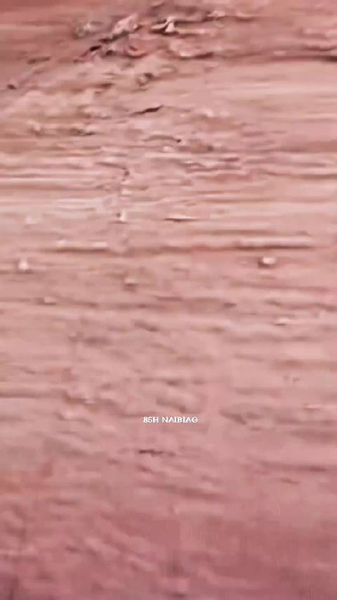 王一博发文鼓励粉丝坚持所爱