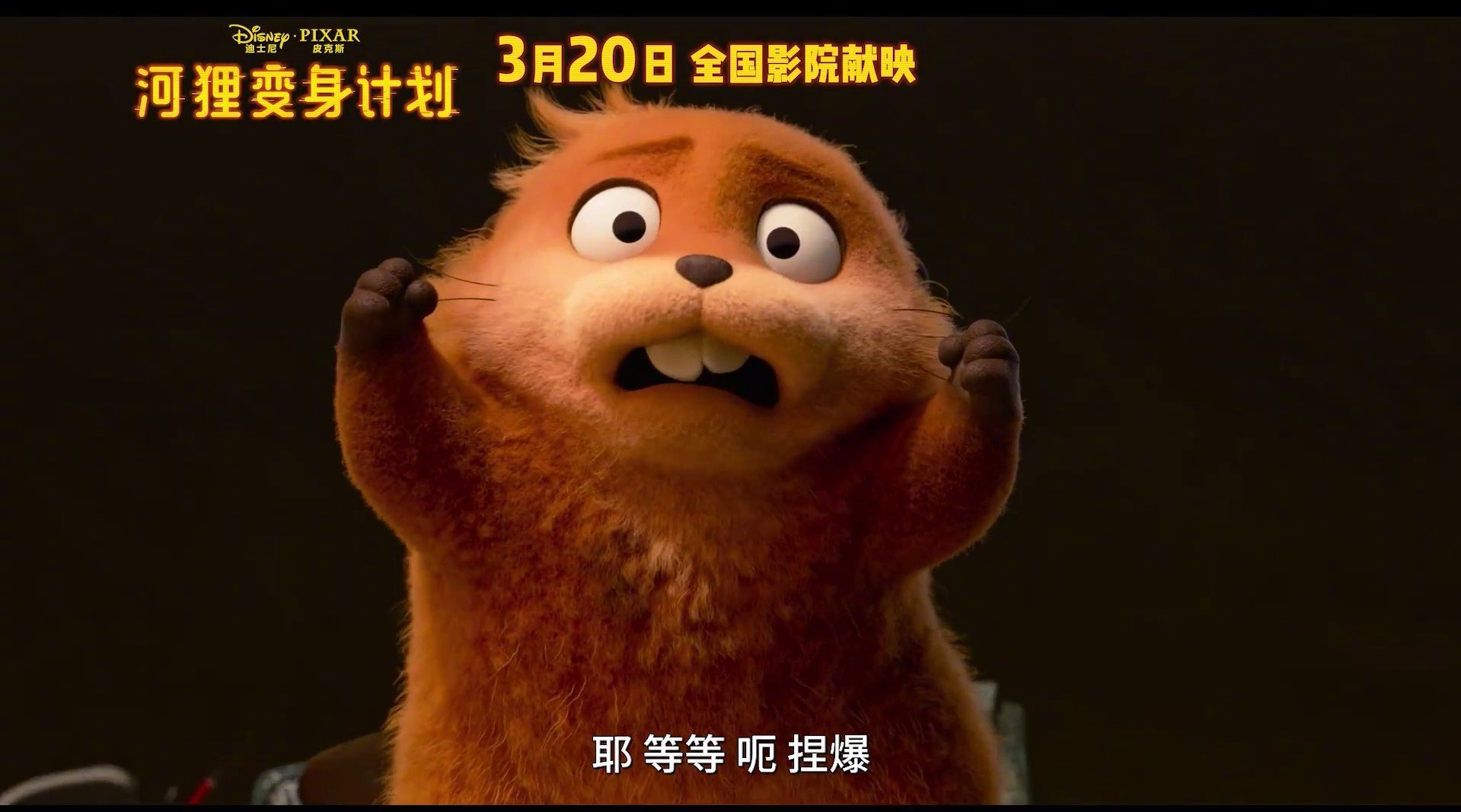 皮克斯新片《河狸变身计划》3月20日内地上映