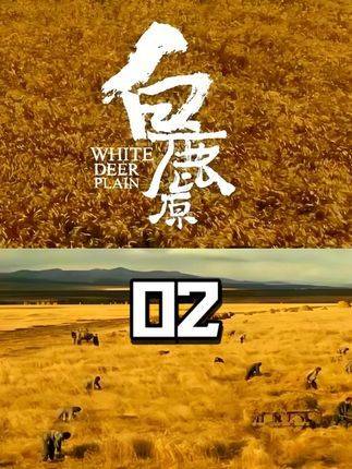 白嘉轩迎亲途中偶遇奄奄一息仙草