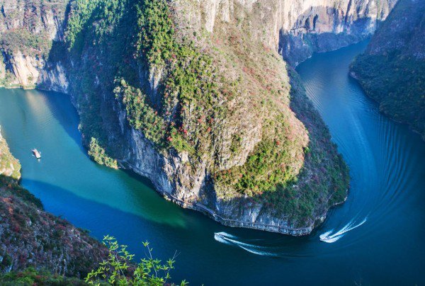 邮储银行重庆分行：两江潮涌处，青绿满巴渝