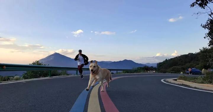 两三年后全球摊牌？特朗普数字货币收割财富，中国早已布局应对