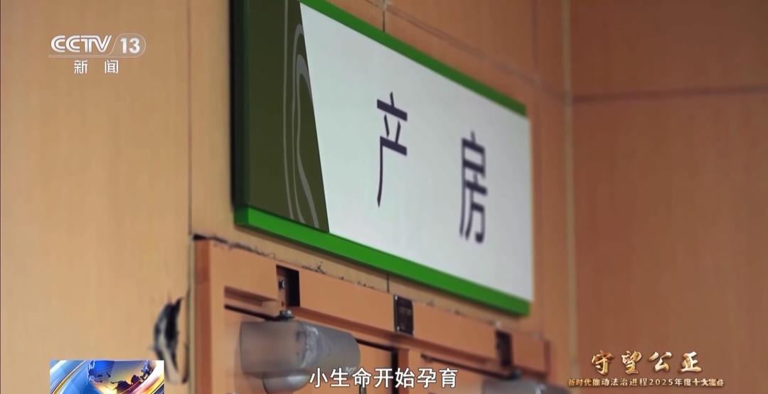 父亲去世“试管婴儿”获工亡抚恤金，案件细节公布