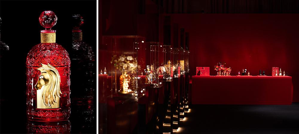 「娇」养如兰 「赢」面而来 交响奏鸣 熠熠星光揭幕鸿运新年