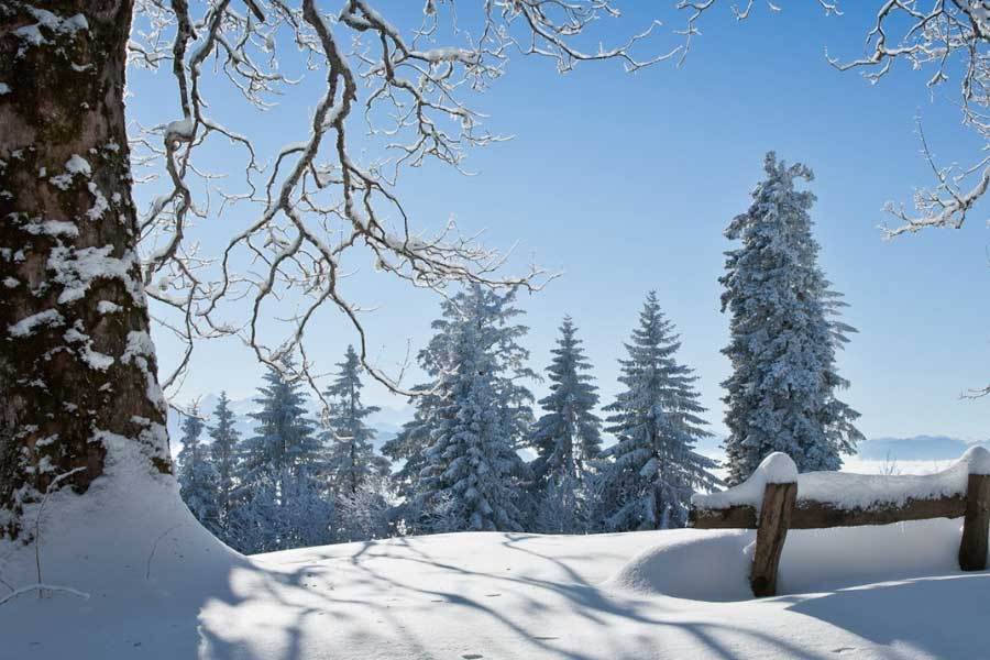 白鹿、沙溢综艺互动引热议