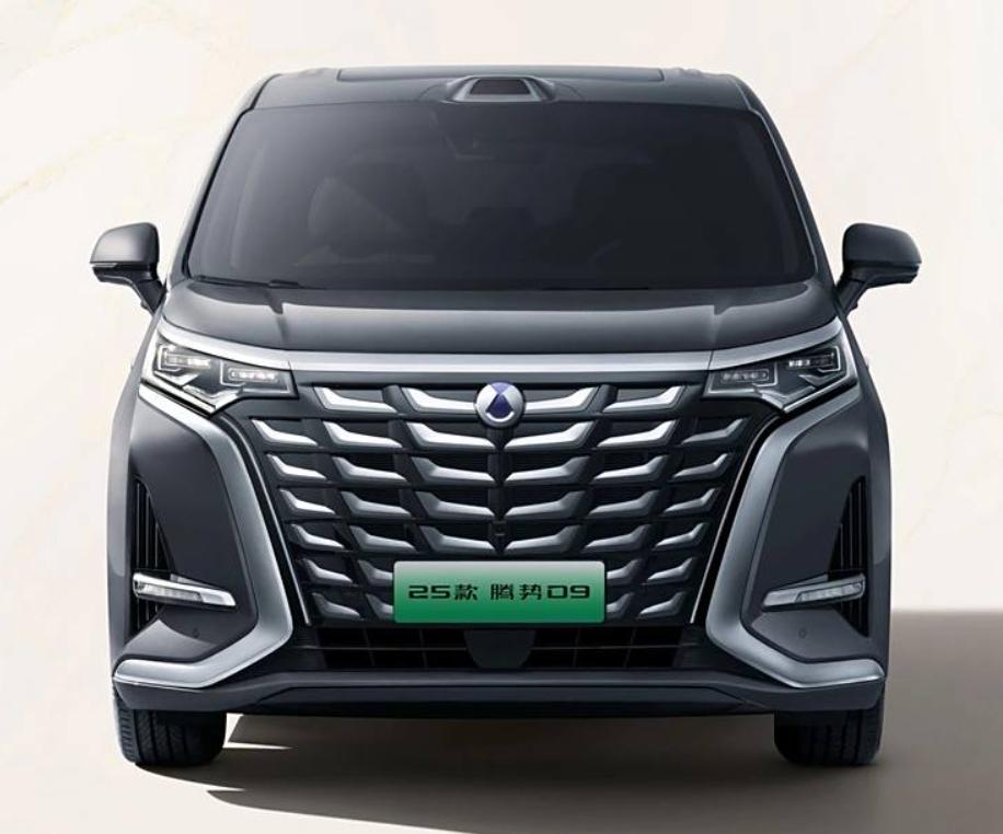 全球领先10屏互联 2025款腾势D9官图发布