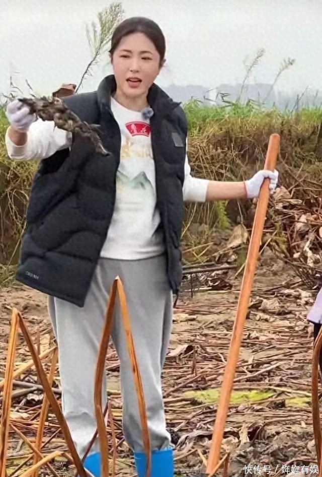 曾黎泥塘里挖出藕王，穿羽绒服干农活，这状态真让人羡慕?