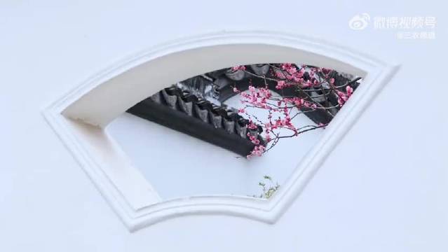 南京梅花山梅开正盛，成毅歌声伴赏江南春景
