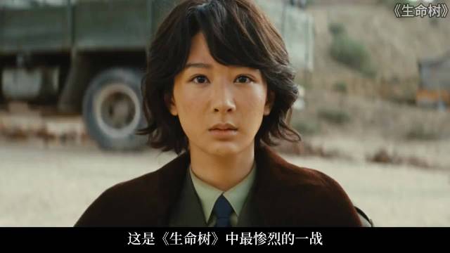 杨紫新剧生命树展现平凡英雄烟火气