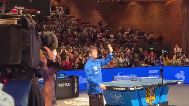 樊振东2025年35战32胜，国内赛场23战全胜