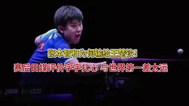 张本智和为何输给王楚钦！赛后日媒评价字字扎心，与世界第一差太远