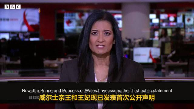 威廉夫妇回应爱泼斯坦文件，声明聚焦受害者