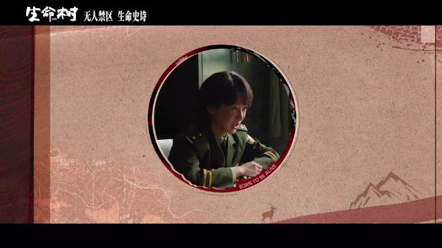 杨紫主演生命树今日北京卫视开播