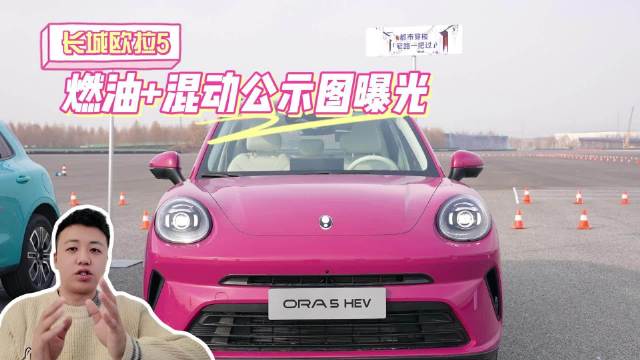 长城欧拉5燃油和混动公示图曝光，全动力矩阵卷疯A级SUV