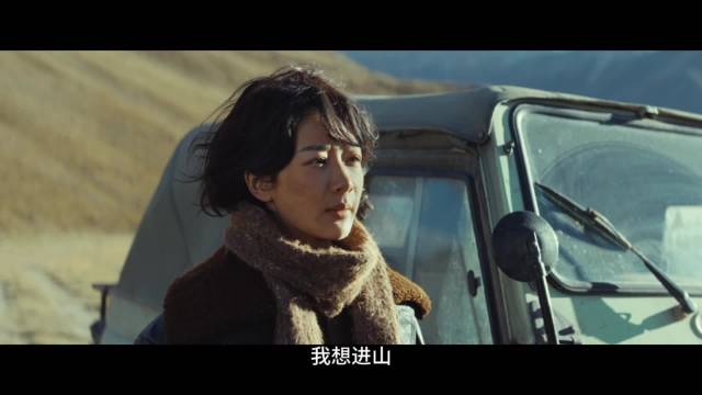 杨紫胡歌新剧生命树今开播，北京卫视每晚19：30播出