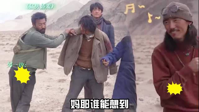 《生命树》金巴凭搞笑角色登顶榜一，杨紫解读白菊成长线