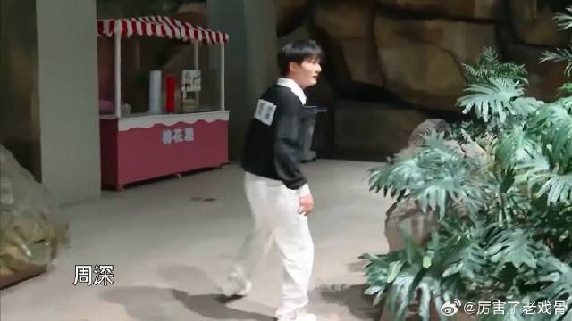 周深真要笑死我 被白鹿杨颖王鹤棣莫名狂追，慌张到眼花！