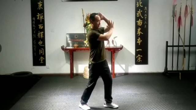 合肥解家心意拳传人董鹤演示单虎抱头定步盘练