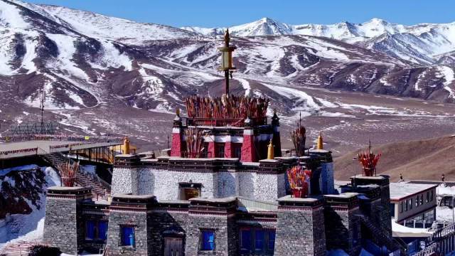 杨紫真的好会鼓励人，认真对金巴说你会越来越火，还坚定表示会一直支持