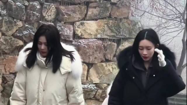 原来孟子义和白鹿长卷发都是接的呀 曾舜晞抓了个头发，陈鑫海太好笑了