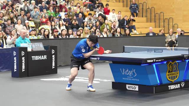 “樊振东德甲高清赛事回顾！”