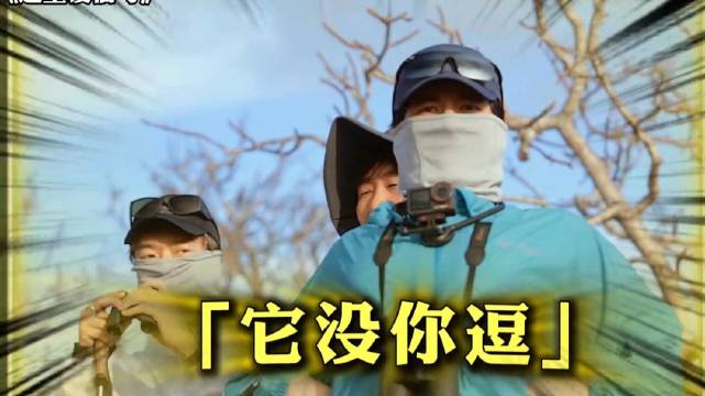 胡先煦到海岛上说相声，天赋型选手张口就是梗！ 这里没信号