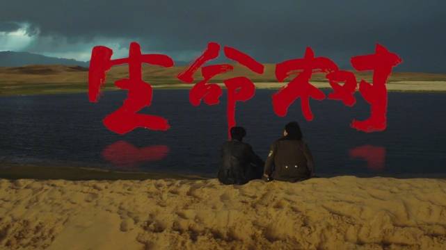 杨紫胡歌主演生命树今日北京卫视开播