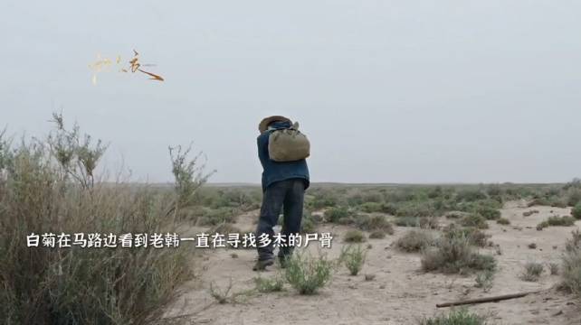 老韩多年路边寻队长尸体，白菊默默相助反遭讽刺