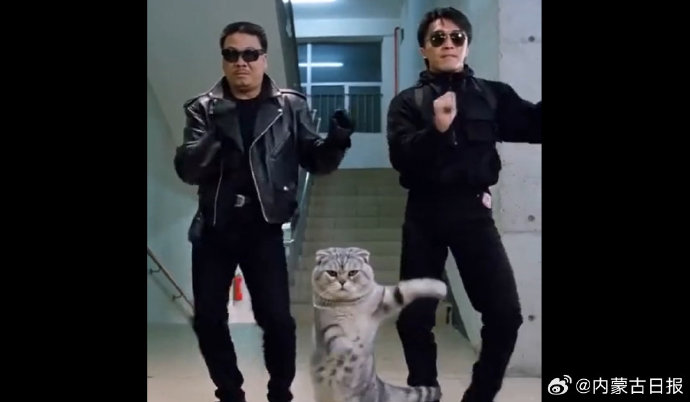 周星驰经纪人怒批AI侵权！超89万次使用，狂欢背后谁在违规牟利？