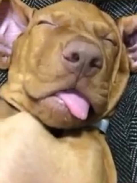 睡前微笑感恩今日，期待明日精彩自己