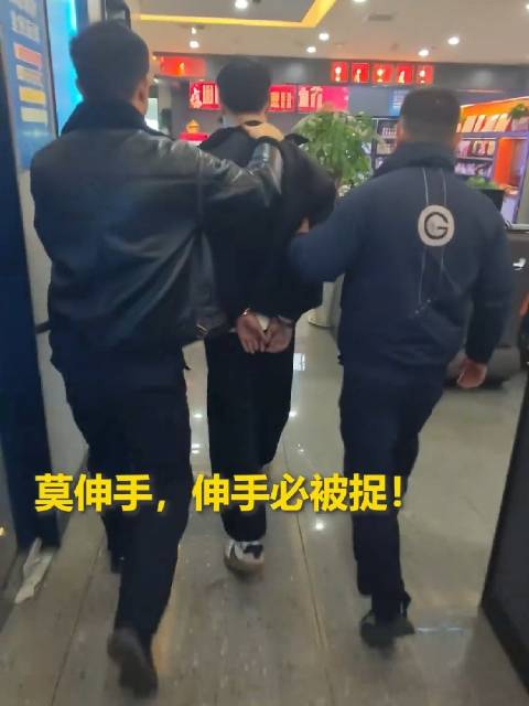 民警在网吧抓获盗窃电动车男子，网友：莫伸手，伸手必被捉！（临泉公安）