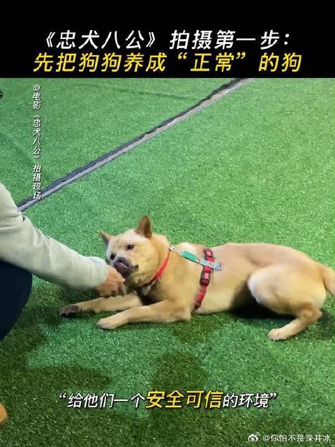 或许我们不能改变他们的过去，但我们可以给他们一个未来