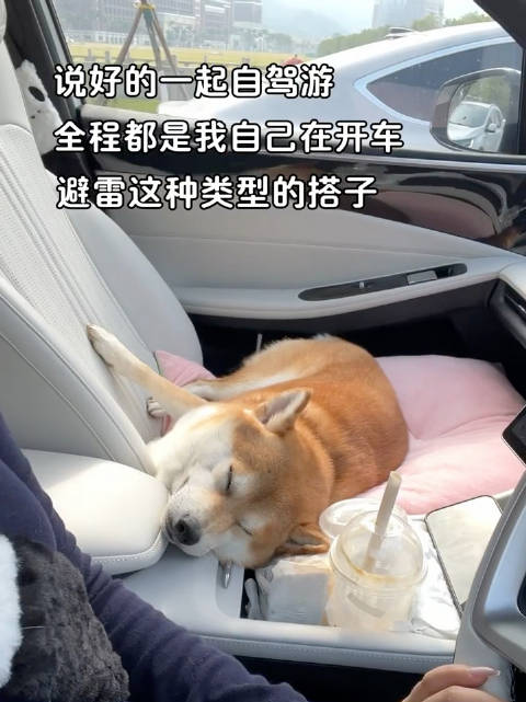 避雷这种旅行搭子…… ：大肥脸财财