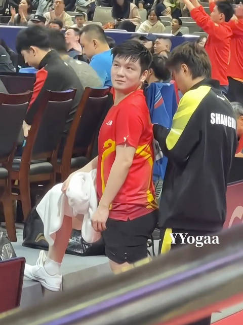 樊振东赵子豪搭档解说德甲赛事