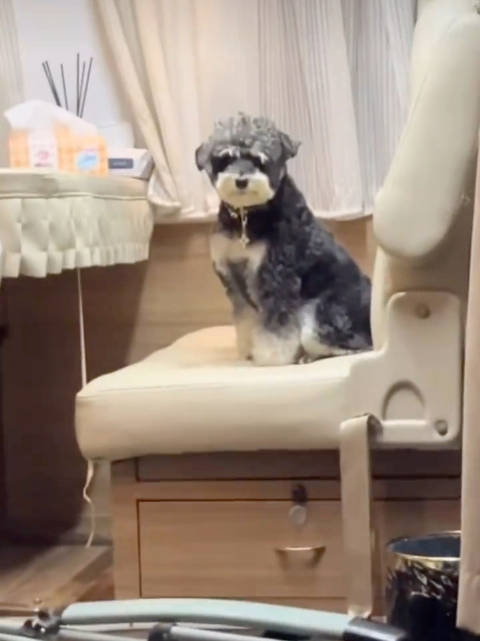 刘宇宁代言酷狗音乐京东新锐，新歌玫瑰丛生发布