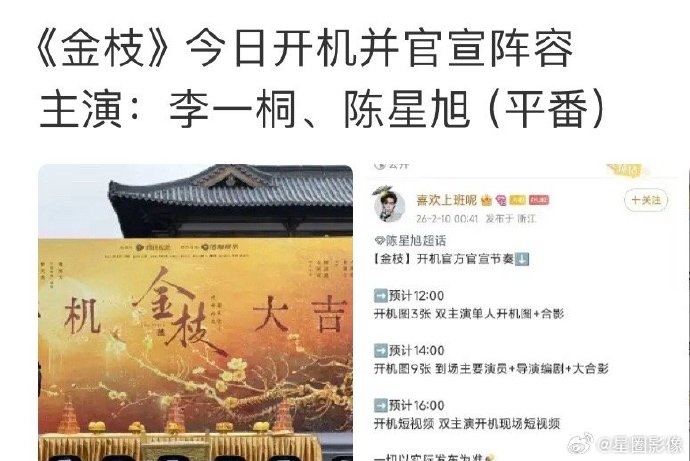 李一桐开机宣言：我不是李一桐！深度解析《金枝》角色陈雀儿