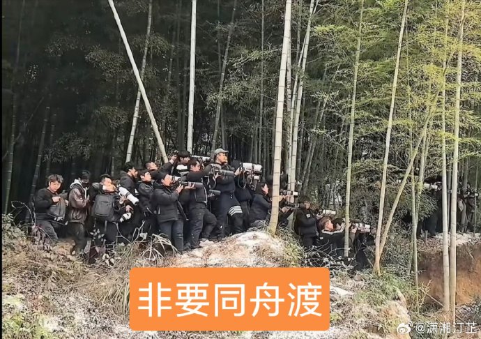 粉丝为什么将跟拍檀健次的行为戏称为“非要同舟渡”？