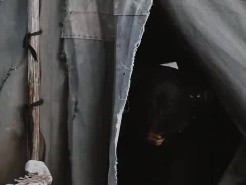 杨紫新剧造型颠覆演女警，周放红棉衣高马尾再现姐妹默契