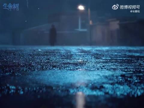 杨紫生命树又搞久别重逢