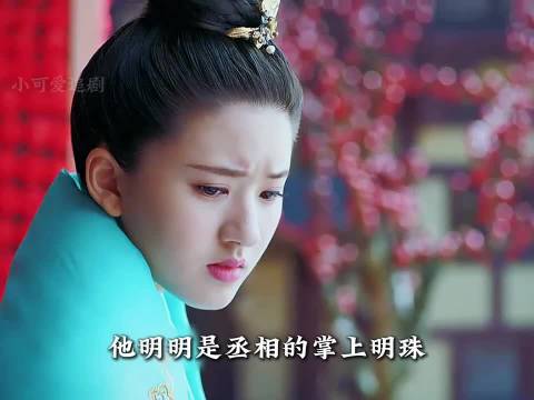 他明明是宰相千金却被父亲逼着抛绣球招亲