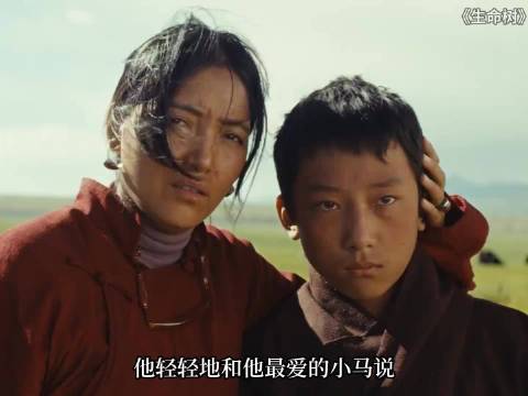 胡歌杨紫李光洁演绎生命树，小马怕跑不够快引共鸣