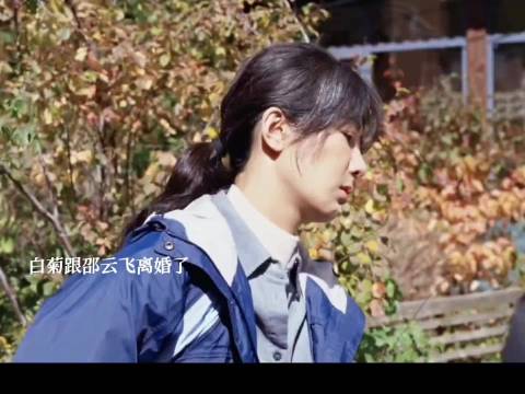 生命树: 白菊邵云飞生女离婚收场，老韩一路执着寻找多杰